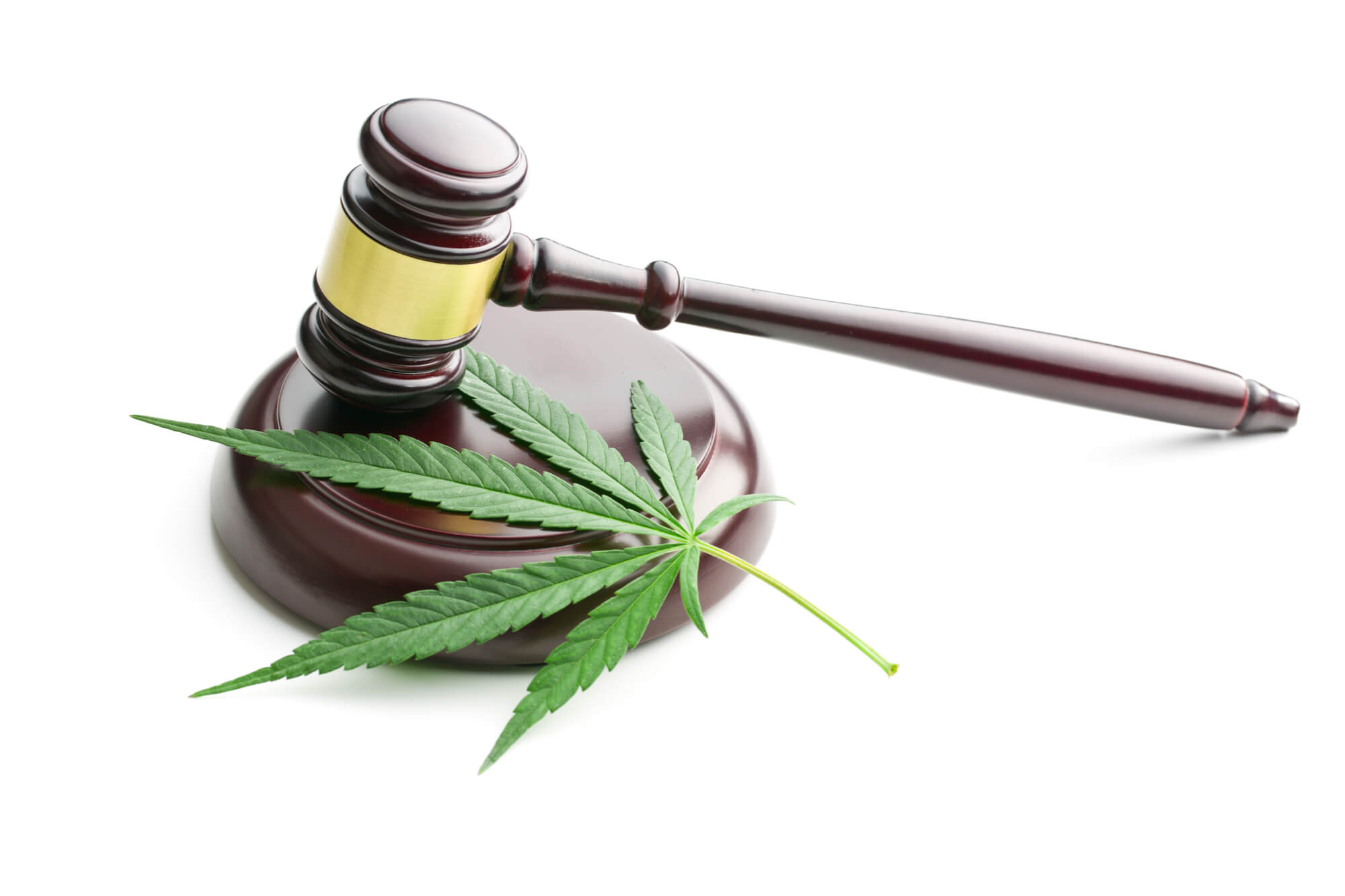 Debat Legalisasi: Haruskah Narkoba Didekriminalisasi?