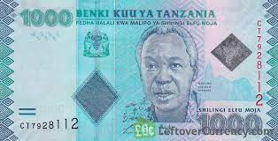 Tanzanian Shilling (TZS) – Mata Uang Resmi Tanzania