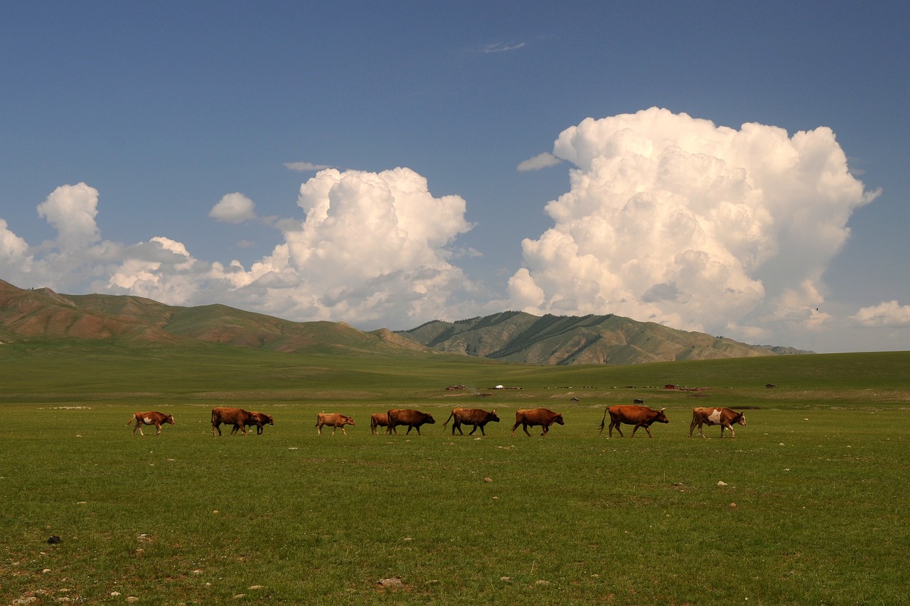mongolia-di-antara-langit-biru-dan-padang-hijau